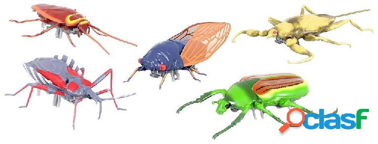 HexBug Nano Real Bugs 5-Pack Robot giocattolo