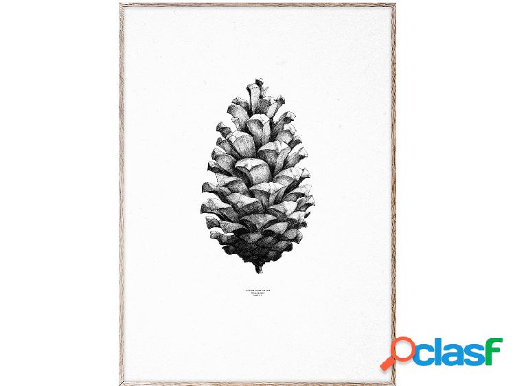 Paper Collective 1: 1 Pine Cone (White) Stampa