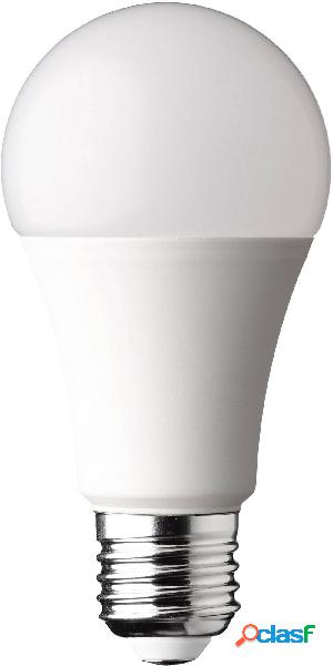 WOFI 5106 LED (monocolore) ERP F (A - G) E27 11 W (Ø) 6 cm