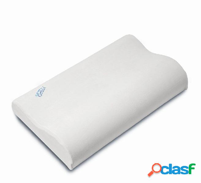 Cuscino Comfort 910 Pavis-[Taglia:L]-[Taglia:L]