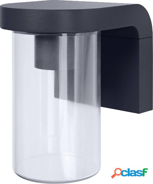 LEDVANCE Endurac Classic Cascade 4058075554337 Lampada da