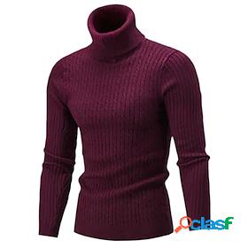 Mens Sweater Pullover Jumper Knit Knitted Braided Turtleneck
