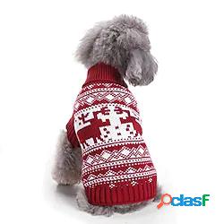 cane da compagnia maglione di natale pullover lavorato a