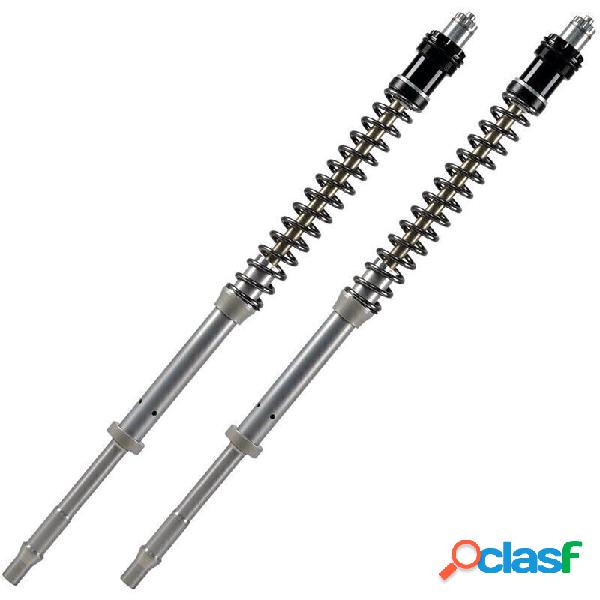 Cartuccia forcella per Honda CB 1000 R ABS Cafe Matris F20K