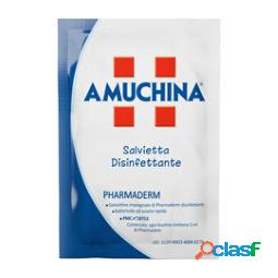 Salviette disinfettanti Pharmaderm - Amuchina - conf. 200