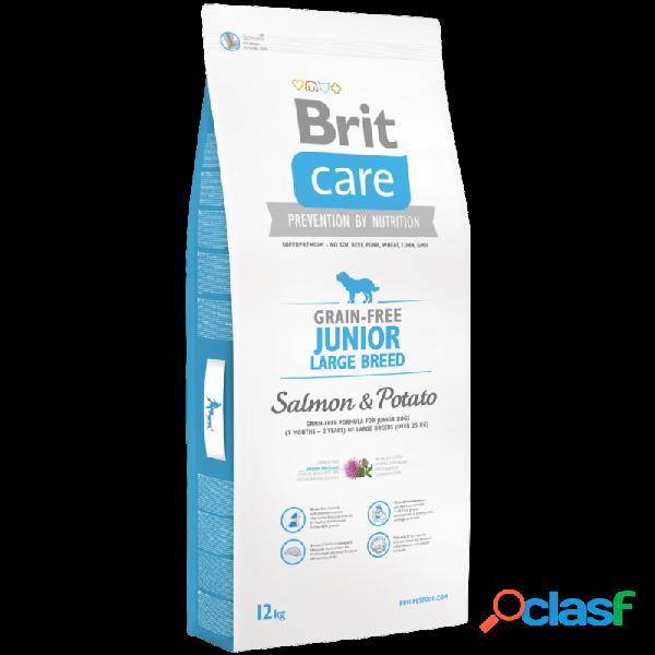 Brit Care - Brit Care Grain-free Junior Large Breed Salmone