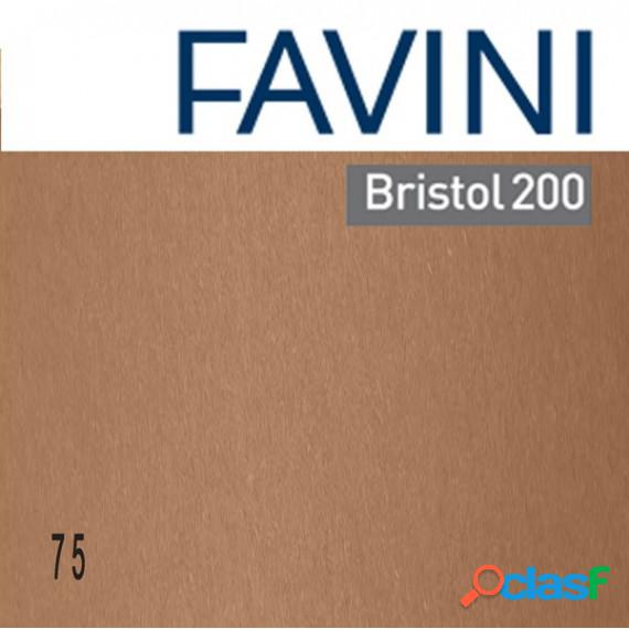 Cartoncino Bristol Color - 50 x70 cm - 200 gr - marrone 75 -