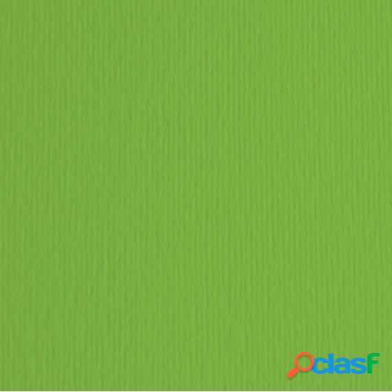 Cartoncino Elle Erre - 50x70cm - 220gr - verde 111 -