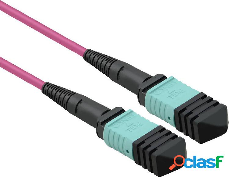 Cavo Value 21.99.1103 Fibra ottica [1x Spina MPO - 1x Spina