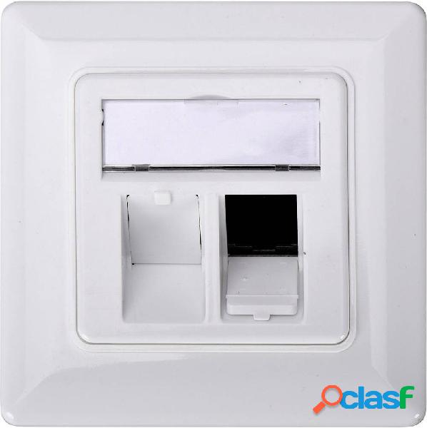 Digitus DN-93801-1 Supporto per Keystone 2 scomparti Bianco