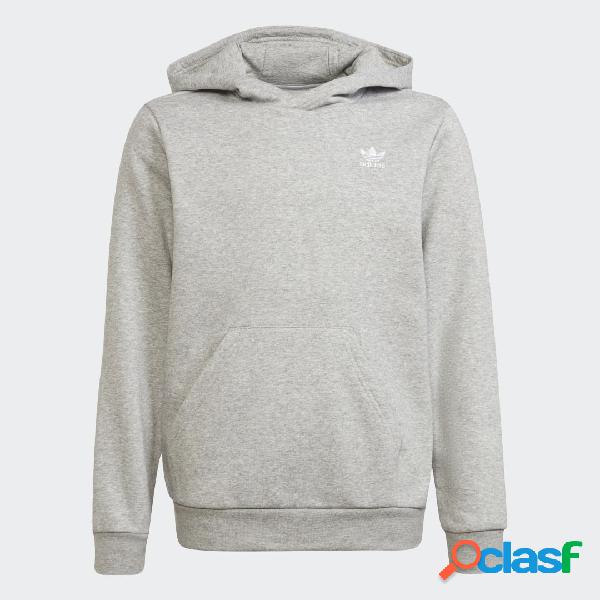 Hoodie adicolor