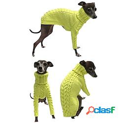 maglione lavorato a maglia di colore solido del cane