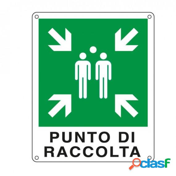 Cartello segnalatore - 25x31 cm - PUNTO DI RACCOLTA -