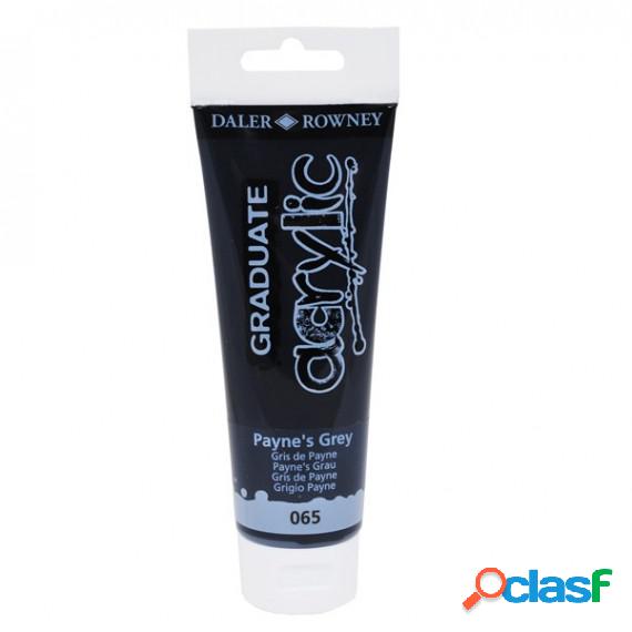 Colore acrilico fine Graduate - 120 ml - grigio payne -