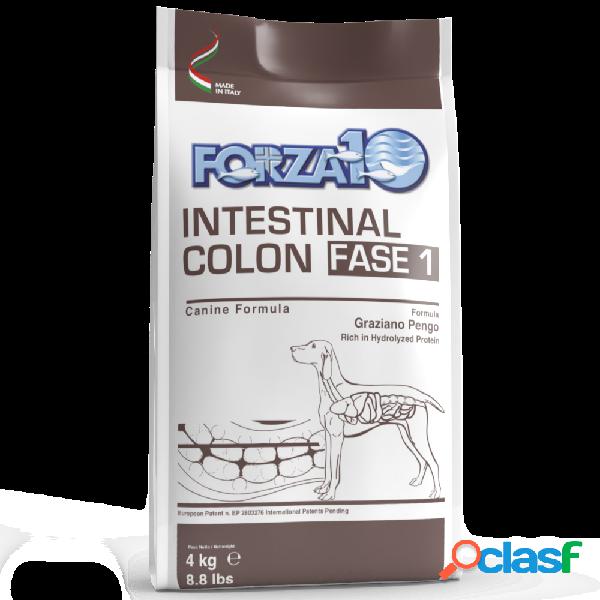 Forza 10 Dog Active Intestinal Colon Fase 1 4 kg
