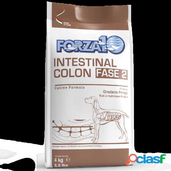 Forza 10 Dog Active Intestinal Colon Fase 2 4 kg