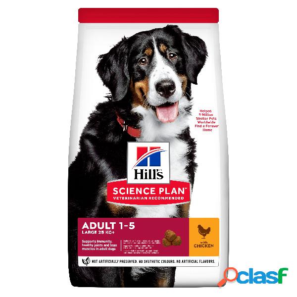 Hill's Science Plan Dog Large Breed Adult con Pollo 18 kg