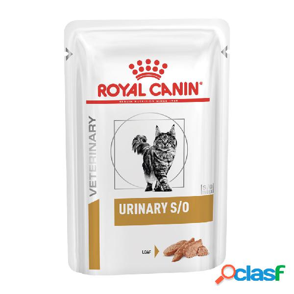 Royal Canin Veterinary Diet Cat Urinary S/O Loaf 12x85 gr