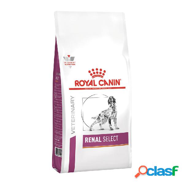Royal Canin Veterinary Diet Small Dog Renal 1,5 kg
