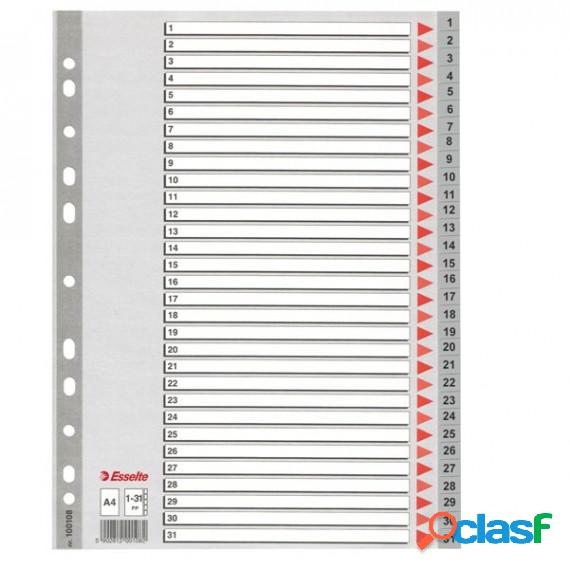 Separatore numerico 1/31 - PPL - A4 - grigio - Esselte