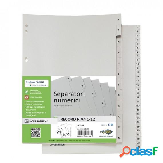 Separatore numerico 1/31 Record R - PPL - 21 x 29,7 cm - A4