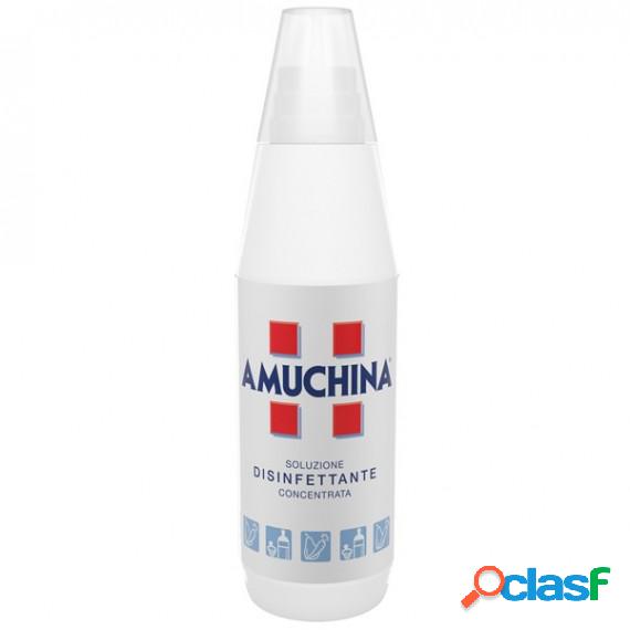 Soluzione disinfettante concentrata - 1000 ml - Amuchina