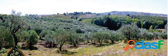 Terreno agricolo a Gambassi Terme/ Localit&agrave; Monte