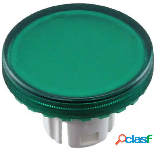 eao Coperchio trasparente Verde 1 pz.