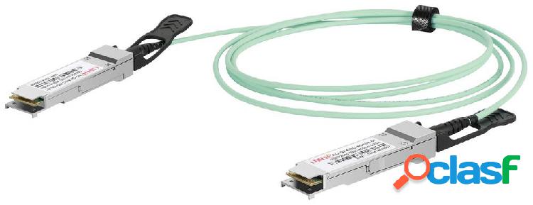 Digitus DN-81625 Cavo 100 GBit/s 5 m