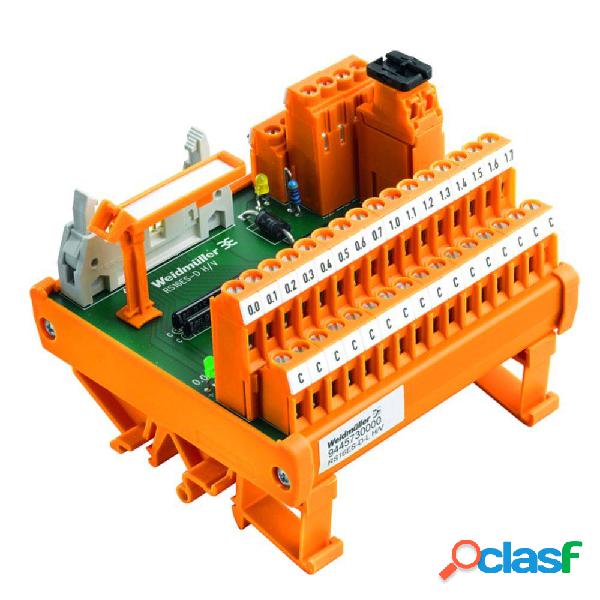 Interfaccia analogica di trasferimento 1 pz. Weidmüller RS