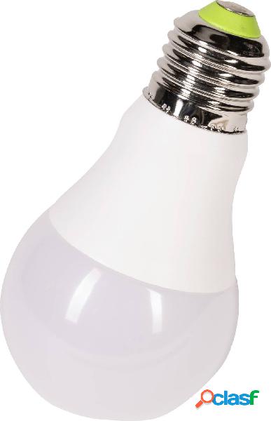 Phaesun 360262 Lux Me 5W neutralweiß Lampada LED