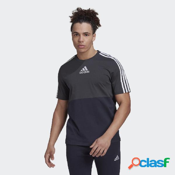 T-shirt Essentials Colorblock