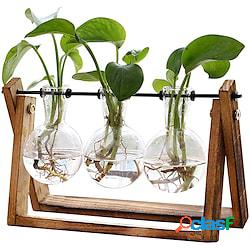 creativo struttura in legno vaso di vetro da tavolo terrario