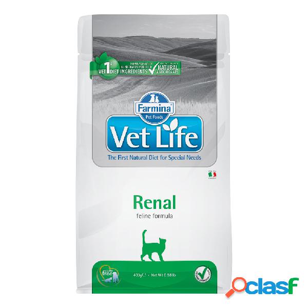 Farmina Vet Life Cat Renal 400 gr