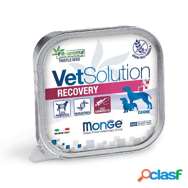 Monge VetSolution Dog Diet Recovery 150 gr