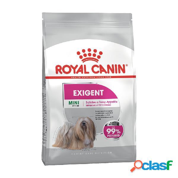 Royal Canin Dog Mini Adult e Senior Exigent 1 kg