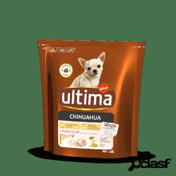 Ultima Dog Adult Chihuahua con Pollo 800 gr