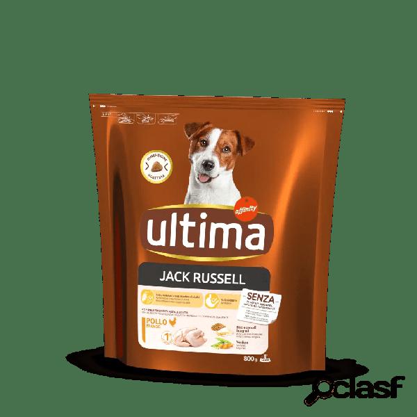 Ultima Dog Adult Jack Russell con Pollo 800 gr
