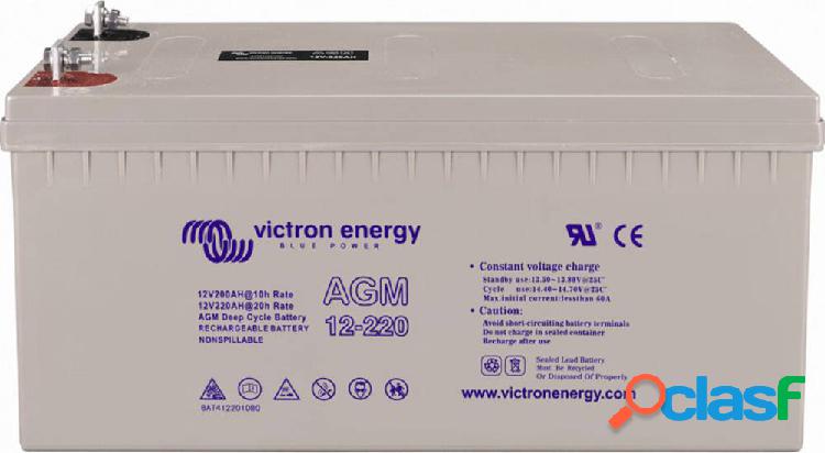 Victron Energy Deep Cycle BAT412101084 Batteria al piombo 12