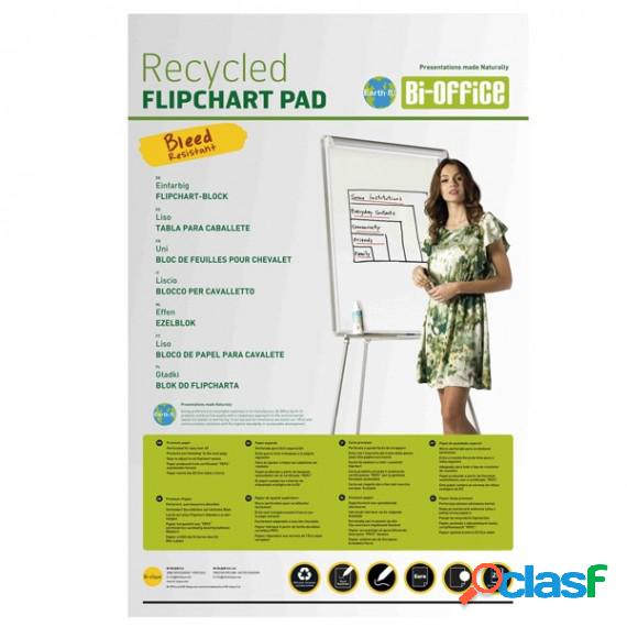 Blocchi per lavagna Earth - 65 x 98 cm - 20 fg - bianco -