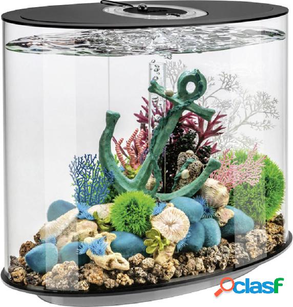 OASE biOrb 86446 biOrb LOOP 30 LED schwarz Acquario ERP: G