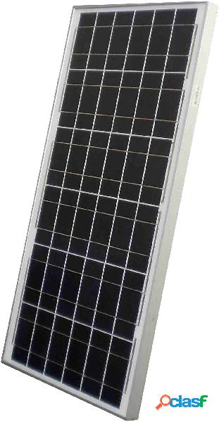 Sunset AS 50 C Pannello solare monocristallino 50 Wp 12 V