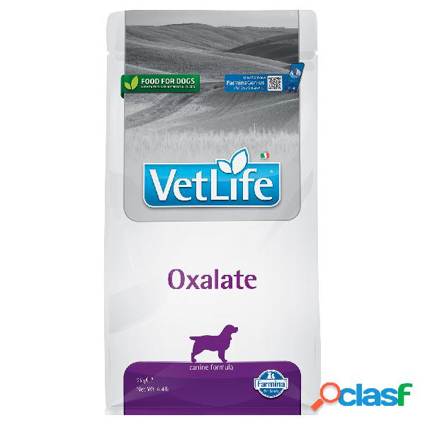 Farmina Vet Life Dog Adult Oxalate 2 kg