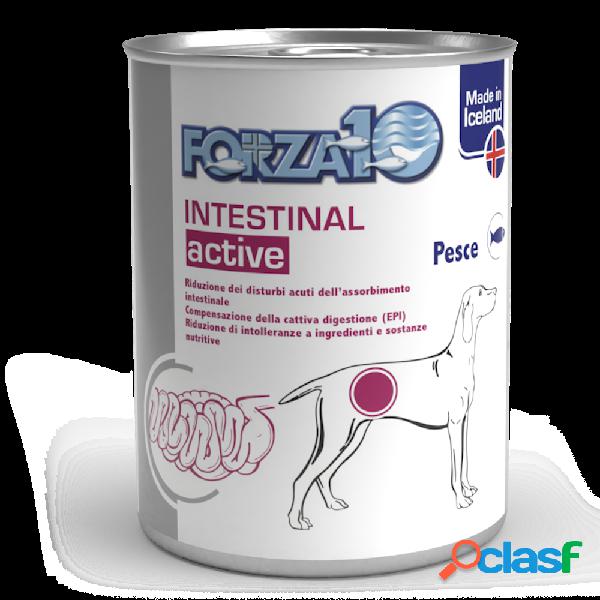Forza 10 Diet Dog Adult Intestinal Actiwet 390 g
