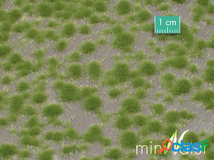 Mininatur 717-21 S Ciuffi derba corti primavera