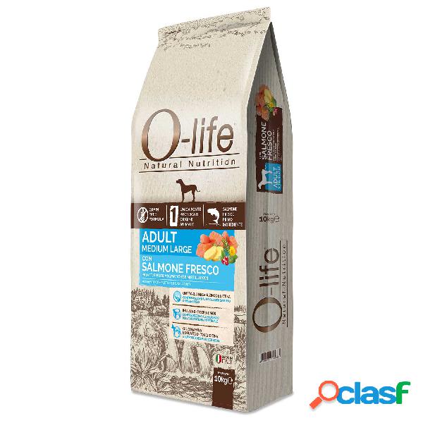 O-Life Dog Adult Medium Adult con Salmone fresco 10 kg