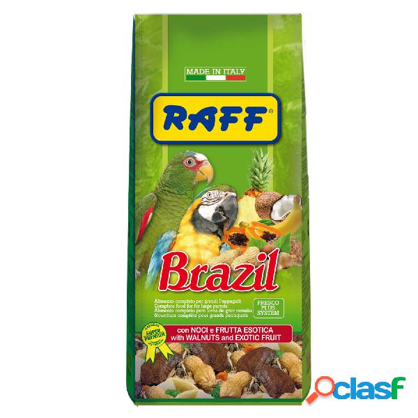 Raff Brazil con Noci e Frutta esotica 900 gr