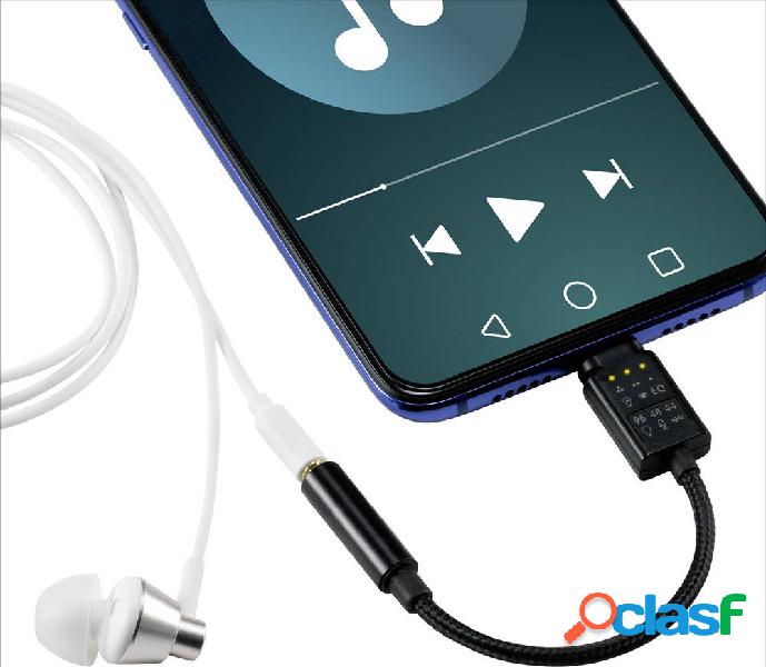 Renkforce Audio Cavo adattatore [1x spina USB-C® - 1x Presa