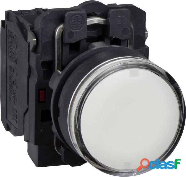 Schneider Electric XB5AW31B5 Pulsante illuminato 600 V 6 A