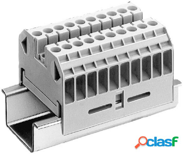 Siemens 8WA10110DF22 Morsetto passante A vite Beige 20 pz.